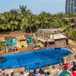 Ushaka Aquarium, pool