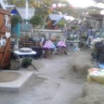 Small business cabins alongside the barbershop in Sunbeams Garden Centre in Southport, near Port Shepstone, on the South Coast KZN