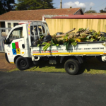 1.3 ton truck open bed loaded with garden rubble parked on on gras curb outside a house