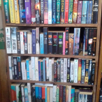 Books in excellent condition on shelves for sale at Bookworm bargains in Upper Highway Kwazulu Natal