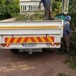 White trunk in which there are branches and other garden rubble, standing on a paved road and two team members from African Sunshine Tree Fellers are standing by the truck, one on top and the other next to it3 ton truck with open