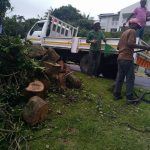 Garden rubble being oaded onto a truck by African Sunshine Tree Fellers in Ballito. White truck with collapsable sides standing on greass with a worker carrying rubble to the truck